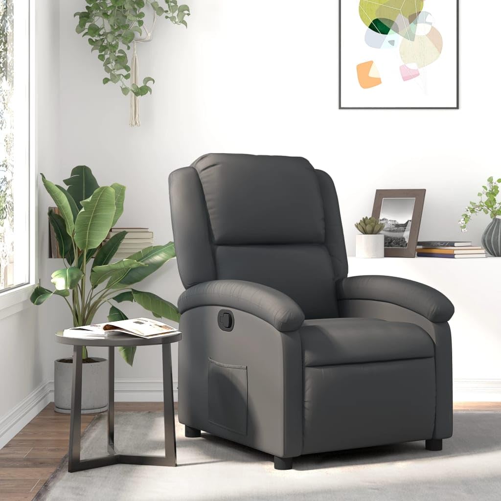 vidaXL Manual Recliner Chair for Living Room, Adjustable Recliner with Padded Seat & Backrest, Home Theater Seating with Side Pocket, Gray Real Leather