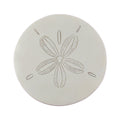 Treasure Gurus Large 17 Sand Dollar Plaque Sea Shell Wall Art