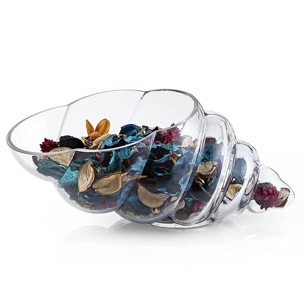 MDLUU Glass Shell Vase, 11-Inch Seashell Potpourri Holder, Large Decorative Conch Bowl for Shell Collection Display, Sea Glass, 