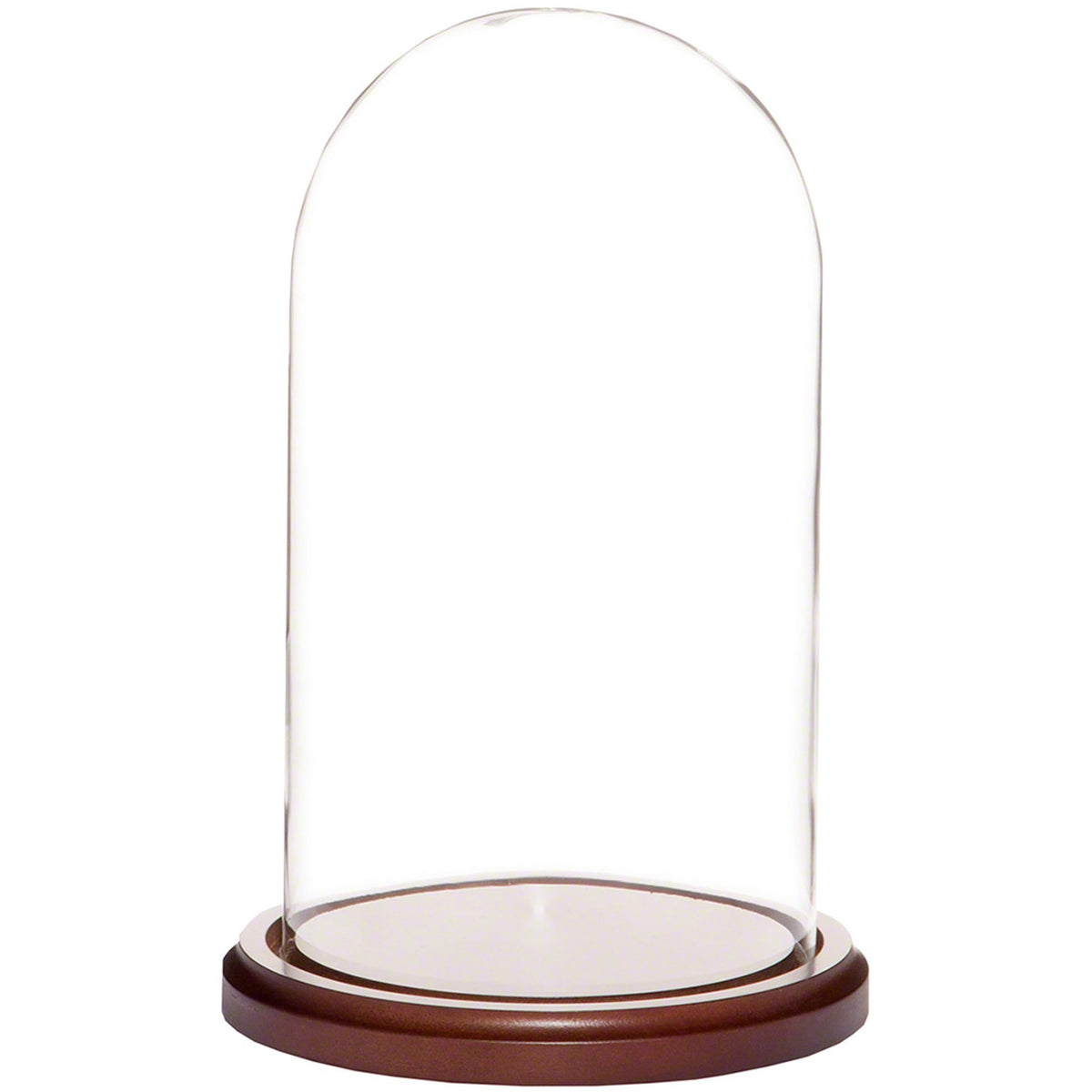 Plymor 5.5 x 10 Glass Display Dome Cloche (Walnut MDF Base)