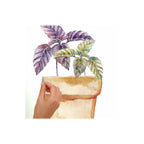RoomMates RMK3652SCS Watercolor Potted Herbs Peel and Stick Wall Decals