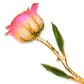 Allmygold 11 24K Gold Dipped Real Rose (White Pink)