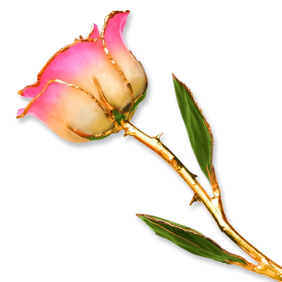 Allmygold 11 24K Gold Dipped Real Rose (White Pink)