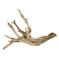 Koyal Wholesale 24 Driftwood Terrarium Decor, Clean California Manzanita Drift Wood Reptile Decor, Driftwood Decor for Home, Des