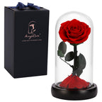 Sw Forever Preserved Rose Mother Day Mom Gifts From Daughter Son,Birthday Gift For Women,Women Gift Red Rose Flower In Glass Gif