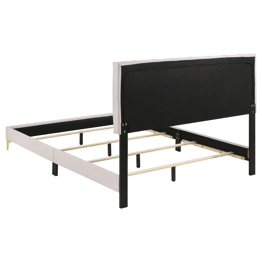 Coaster Home Furnishings Kendall 49-Inch Upholstered Bed Eastern King Size Modern Panel Bed Frame Velvet Upholstery Button Tufted with Gold Accents White 224401KE