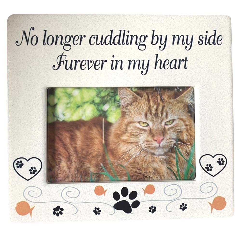 BANBERRY DESIGNS Cat Memorial Picture Frame No Longer Cuddling By My Side Furever in My Heart Loss of a Pet Photo Frame Sympathy