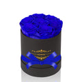 NATROSES Preserved Real Roses in a Box Roses That Last Up to 3 Years, Long Lasting Roses Gifts for Her, Valentines Day Gifts for