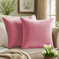 Quorgves Light Pink Pillow Covers 20X20 Inch Pack Of 2 Light Pink Throw Pillows For Couch Living Room Bed Bedroom Soft Velvet Sq