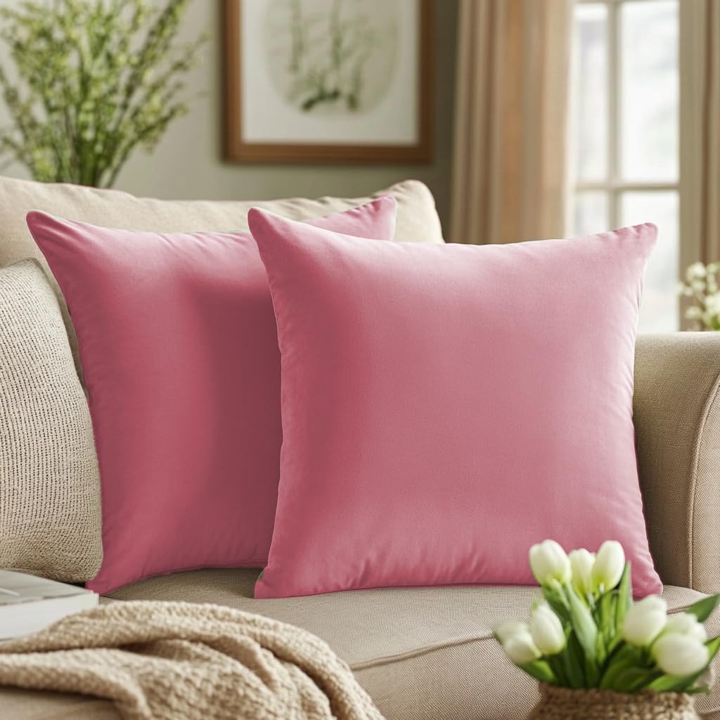 Quorgves Light Pink Pillow Covers 22X22 Inch Pack Of 2 Light Pink Throw Pillows For Couch Living Room Bed Bedroom Soft Velvet Sq