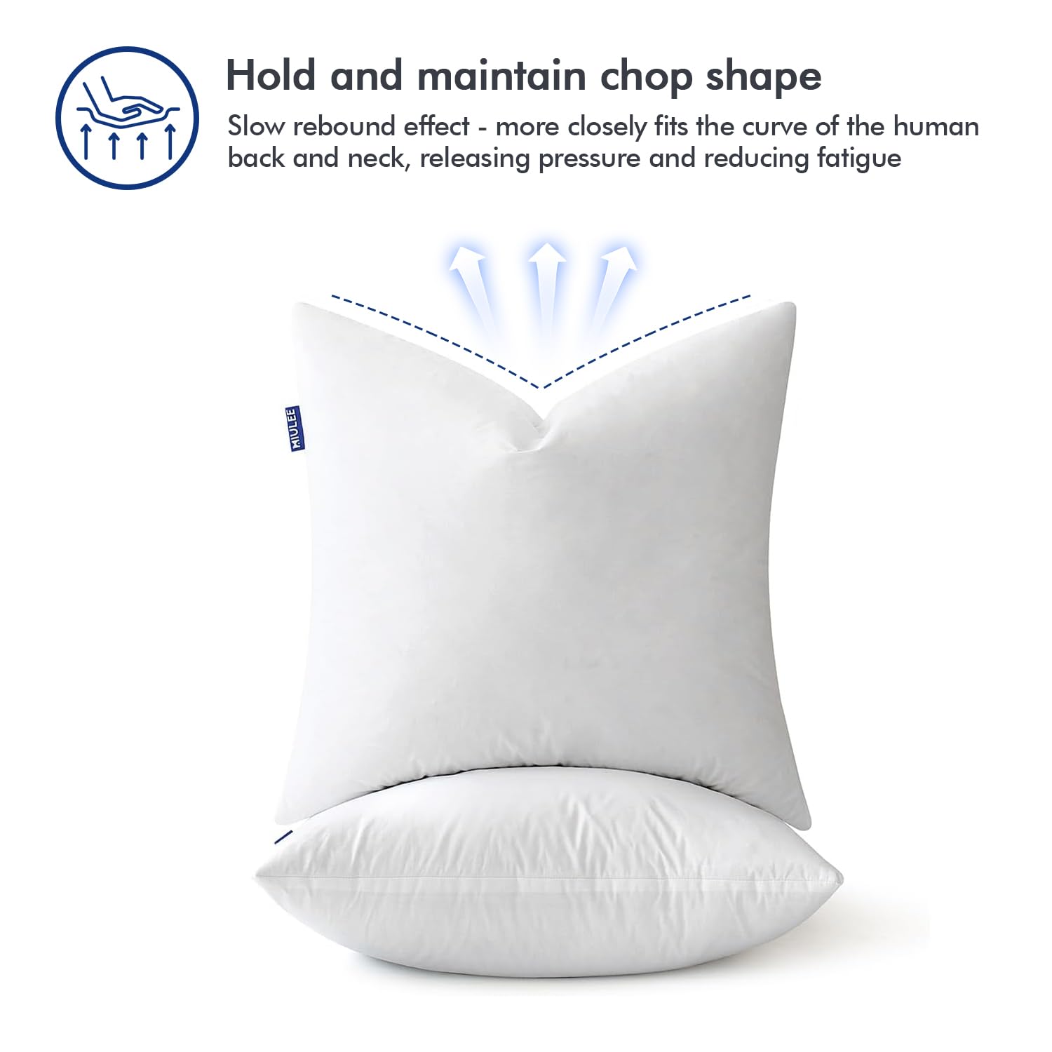 Miulee Feather Pillow Insert 22X22, Decorative Down Throw Pillow Insert Fluffy Throw Pillow Cotton Fabric For Sofa Bed Couch
