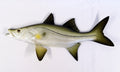 Replica Snook Ocean Coastal Fly Fishing Wall Decor