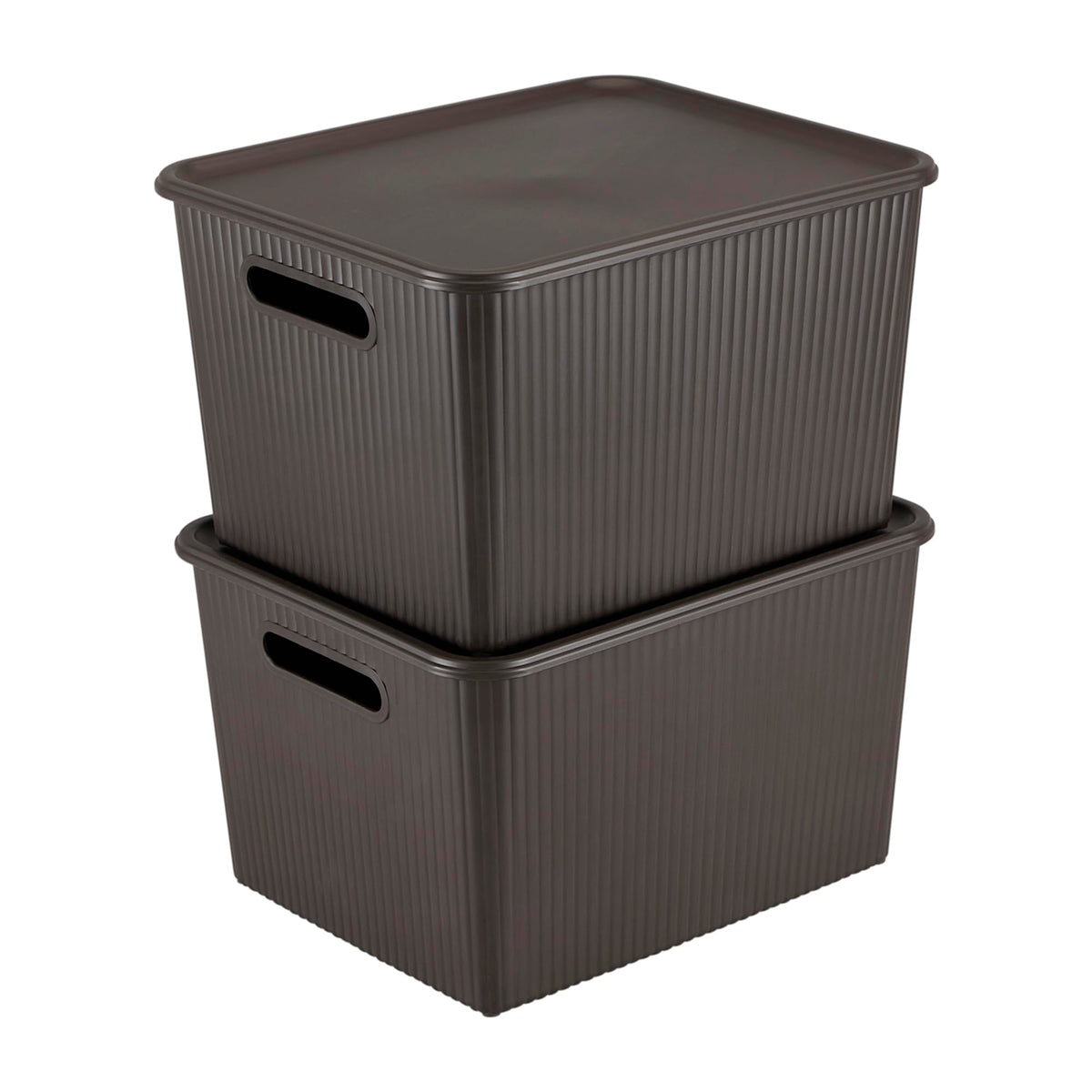 Kolorr Ribbed Baskets Large Pack Of 2 With 2 Standard Lid (Nonairtight Loosefit Cover) Multipurpose Plastic Storage Baskets Fo