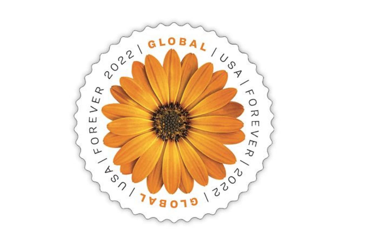 Usps African Daisy 2022 (Sheet Of 10) International Mail Global Postage Forever Stamps Scott #5680