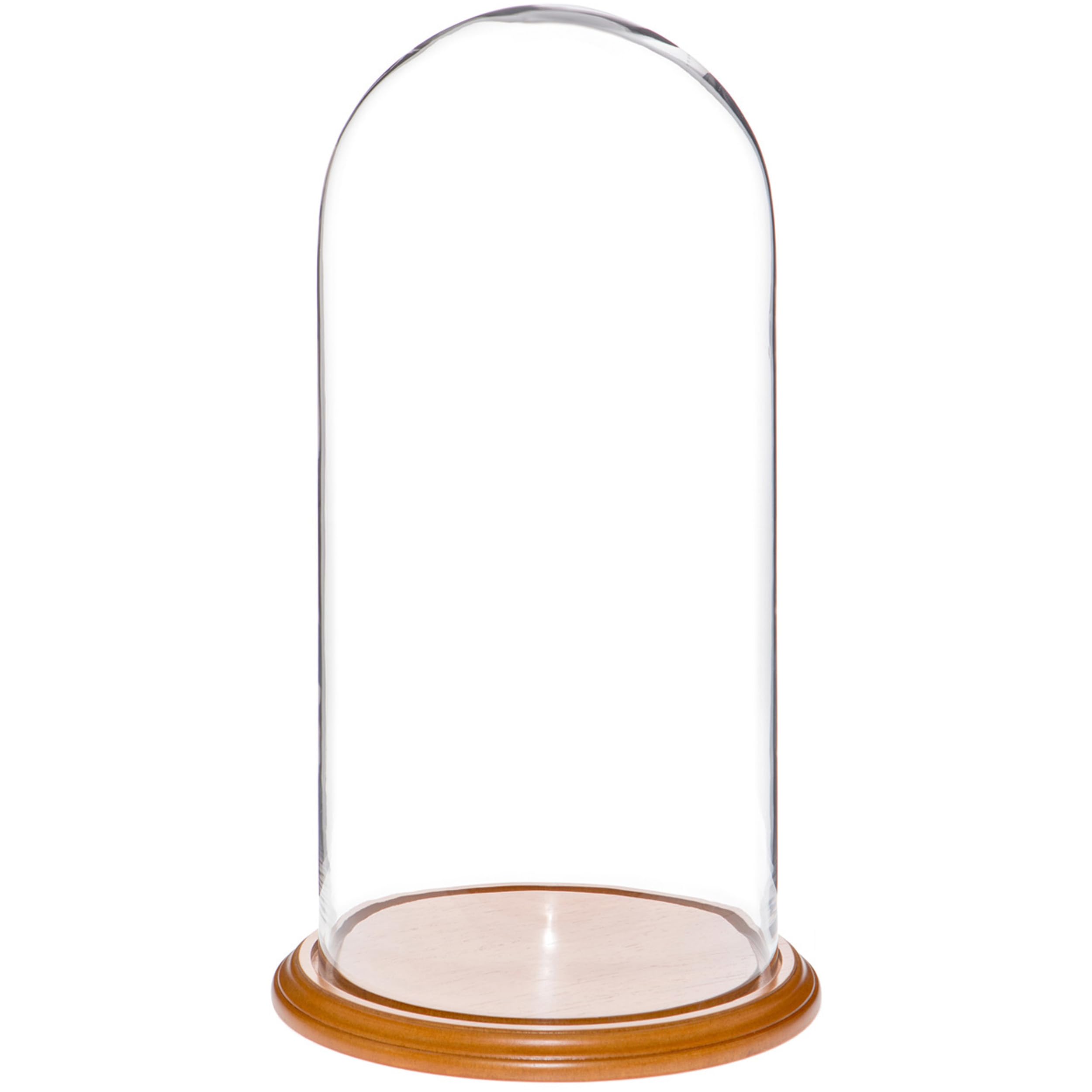 Plymor 9.75 x 20 Glass Display Dome Cloche (Oak Veneer Base)