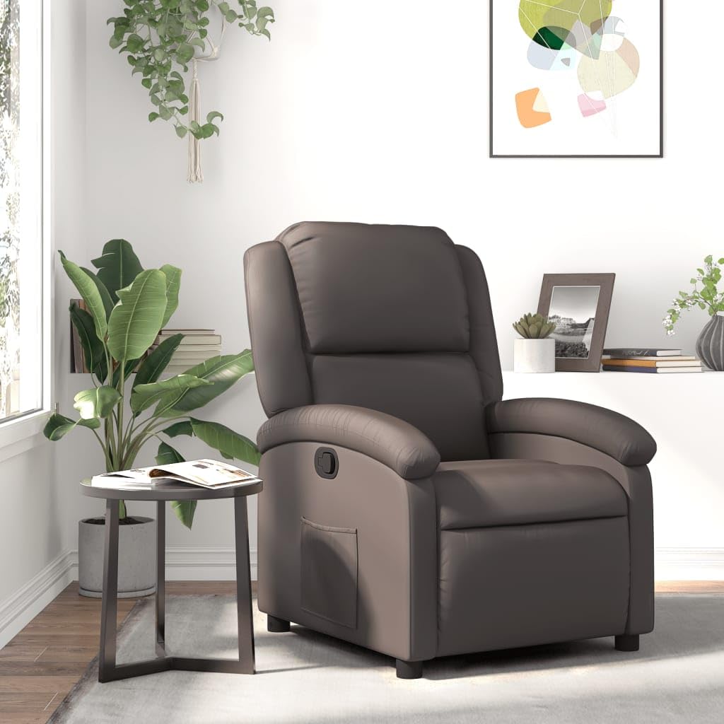 vidaXL Manual Recliner Chair for Living Room, Adjustable Recliner with Padded Seat & Backrest, Home Theater Seating with Side Pocket, Dark Brown Real Leather