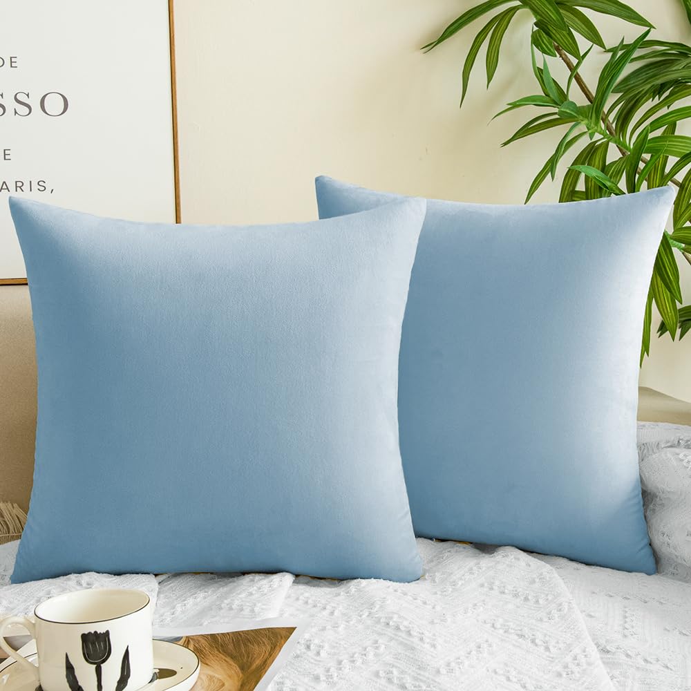 Quorgves Light Blue Throw Pillows Spring Light Blue Pillow Covers 18X18 Inch Pack Of 2 Soft Velvet Square Solid Sky Blue Throw P