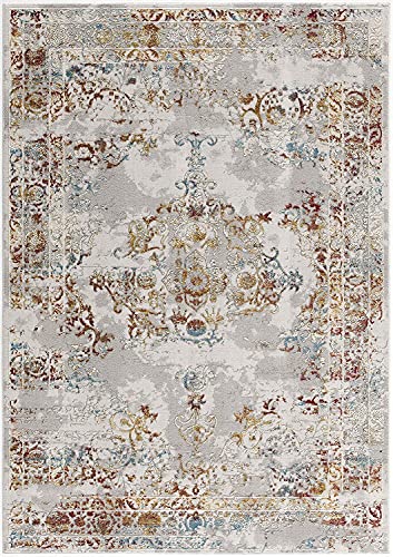 HomeRoots Multi 100% High Grade Polypropylene 4â€ x 6â€ Gray and Beige Distressed Ornate Area Rug