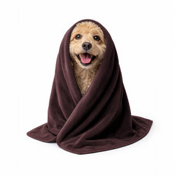 Sassoon Small Pet Towels | Ultra Soft & Microfiber | Quick Drying | Machine Washable | Colour  Cocoa (Pack of 2)