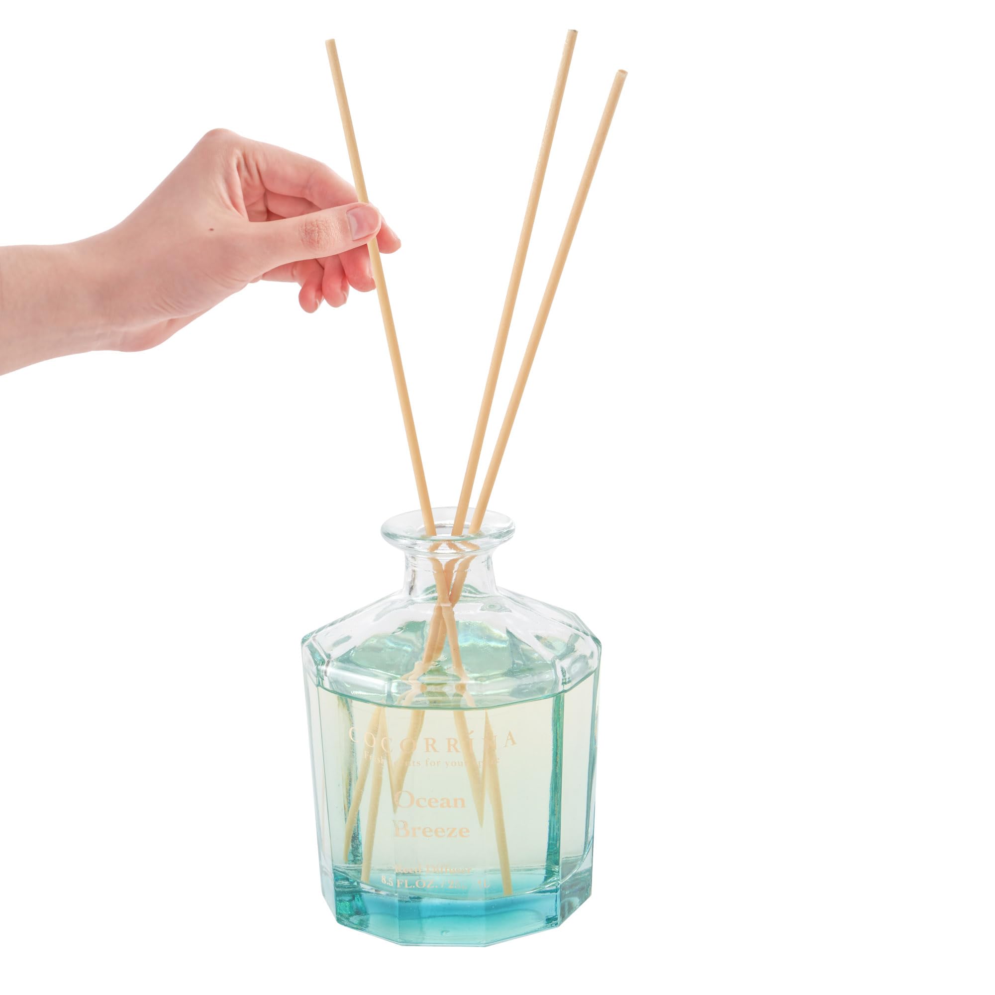 Cocorr  Na Reed Diffuser - Ocean Breeze 8.5Oz Flower Reed Diffuser Set With 8 Sticks, Home Fragrance Reed Diffuser For Home Bedr