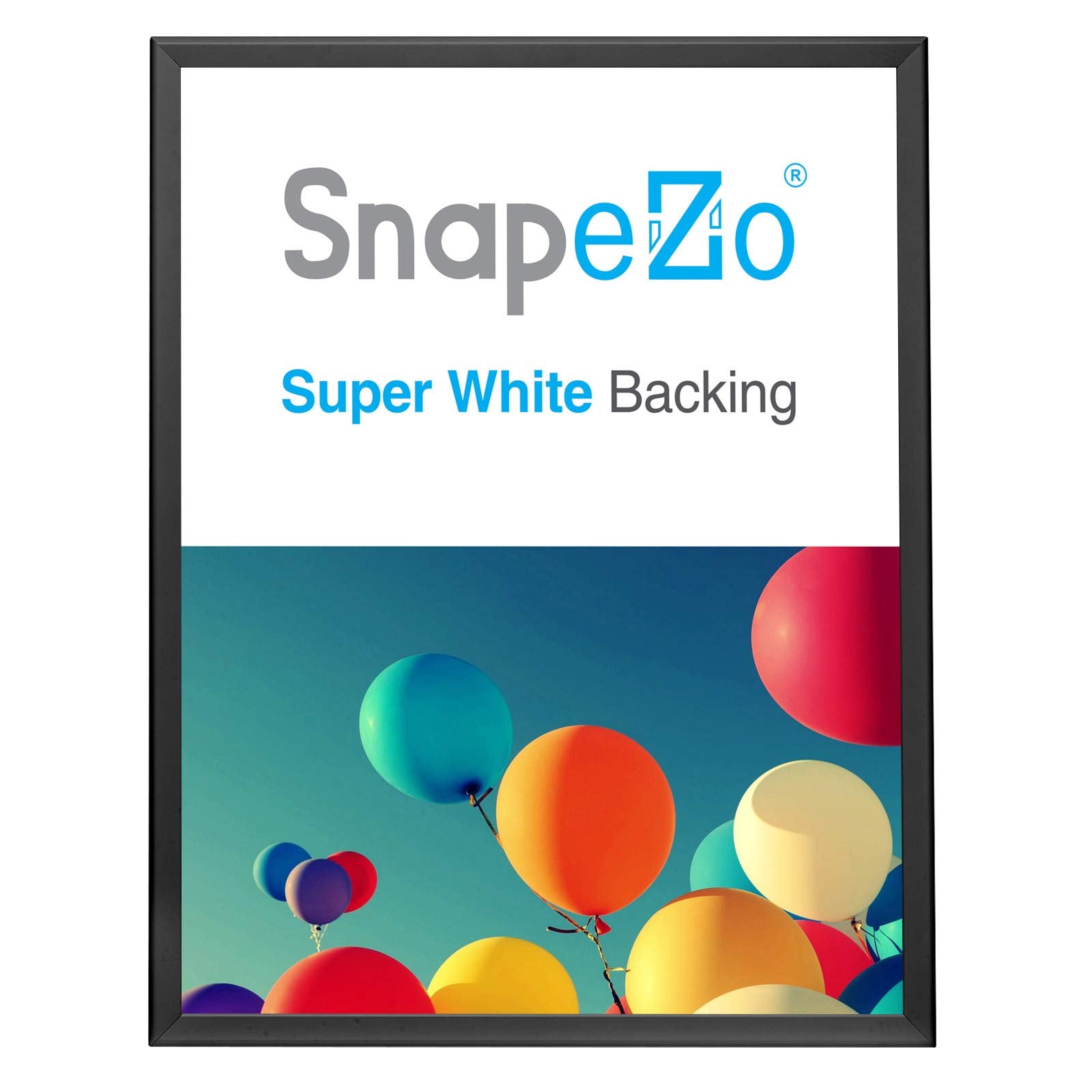 SnapeZo Poster Frame 24x30, Black, 1.25 Inch Aluminum Profile, Front-Loading Snap Frame, Wall Mounting, Professional Series