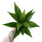 Artificial Agave Fake Plant, 10 Inches Faux Shrubs Bushes Plants For Indoor Outdoor Bedroom Garden Greenery Uv Resistant Leaves
