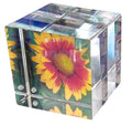 Canetti Original Magnet Frame Cube Acrylic Lucite Frame 3-3x3