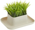 Kikkerland Potted Pen Phone Stand (Sc25)