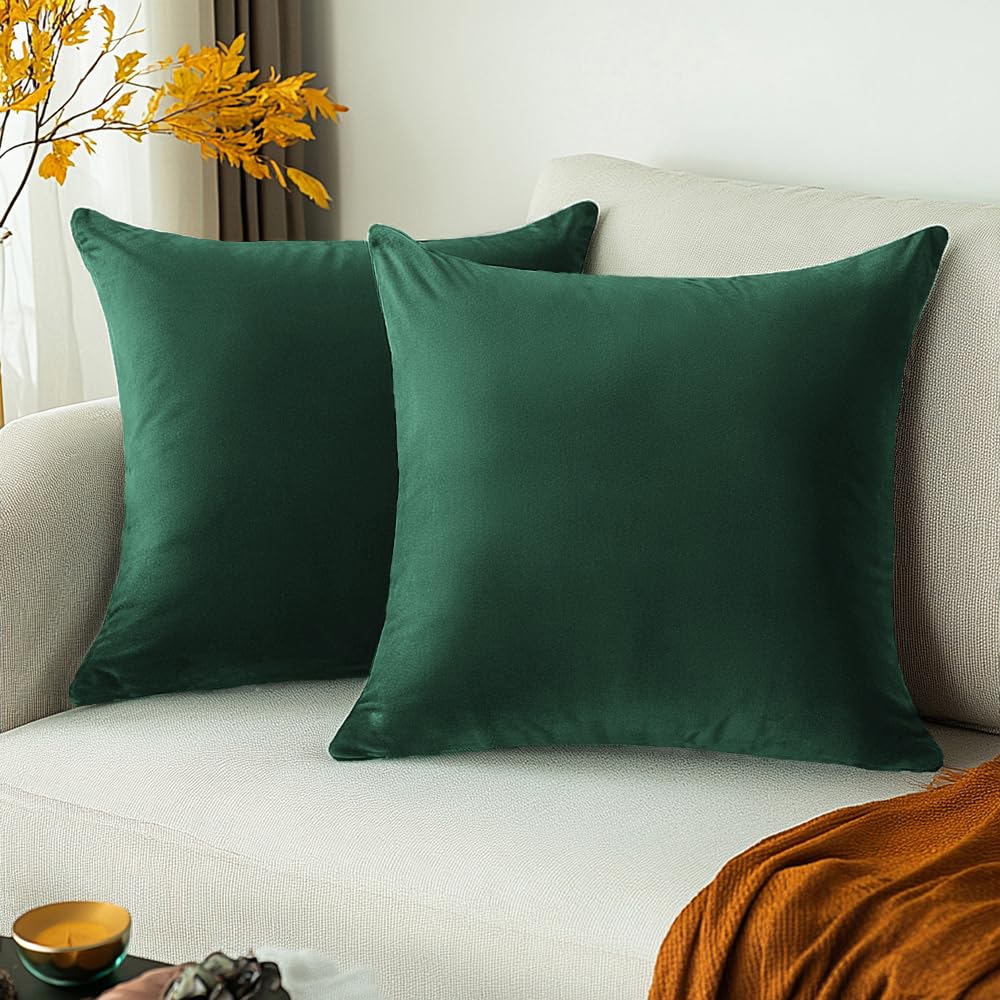 Quorgves Dark Green Throw Pillows Emerald Green Pillow Covers 20X20 Inch Pack Of 2 For Couch Living Room Bed Bedroom Soft Velvet