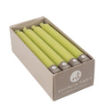Northern Lights Candles - 12 12pk Tapers - New Leaf - 71732