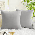 Quorgves Light Grey Throw Pillows Spring Light Gray Pillow Covers 24X24 Inch Pack Of 2 Soft Velvet Square Solid Light Grey Throw