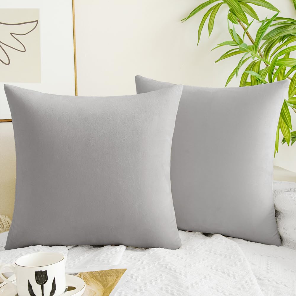 Quorgves Light Grey Throw Pillows Spring Light Gray Pillow Covers 24X24 Inch Pack Of 2 Soft Velvet Square Solid Light Grey Throw