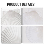 Giftvest 10Pcs Sea Shells White Scallop Shells For Crafts Baking Cooking Serving Food, 4-5 Inch Large Natural Seashells For Diy