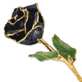 Allmygold 11'' 24K Gold Dipped Real Rose (Black)