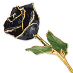 Allmygold 11'' 24K Gold Dipped Real Rose (Black)