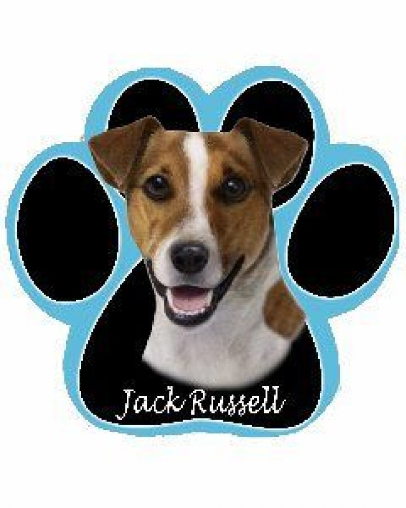Jack Russell Dog Paw Non-Slip Mousepad