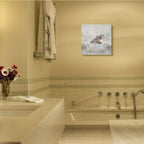 Stupell Industries Baby Hippo Bath Time Cute Animal Design Canvas Wall Art, 17X17, Gray