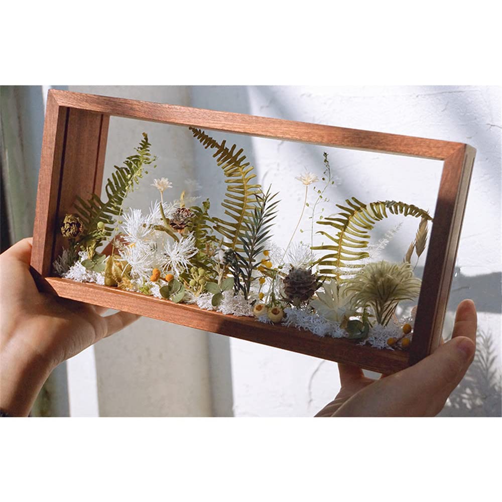 WANLIAN Rectangle Shadow Box Acrylic Wood Frame Display Storage Box, 10X5,Desktop Postcard Display Pressed Flowers Dried Leaf Di