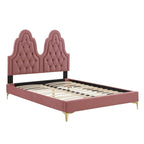 Modway Alexandria Tufted Performance Velvet Platform Bed with Gold Legs, Twin, Dusty Rose