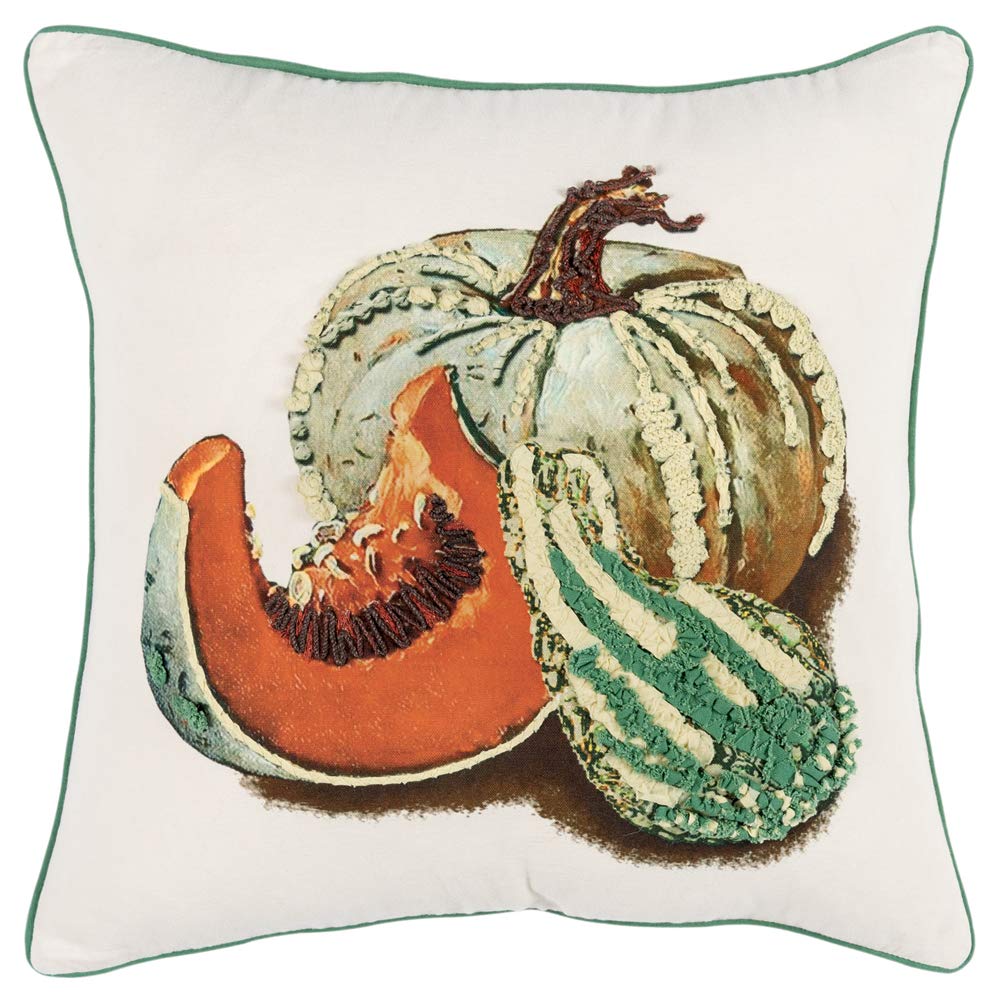 Rizzy Home Gourds/Pumpkins 20" x 20" Cotton Duck Pillow Cover-Multi-Color