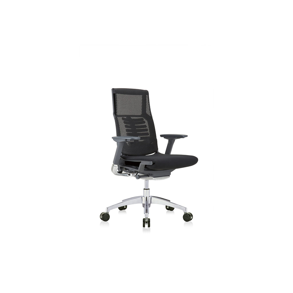 Eurotech Seating Powerfit-Charcoal Frame-Mesh Back/Fabric Seat Desk Chair, Black