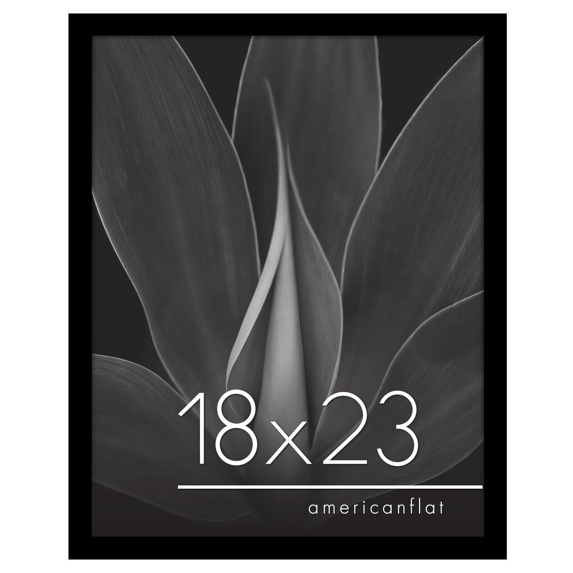 Americanflat 18x23 Poster Frame with Polished Plexiglass - Epic Collection - Gallery Wall Frames with Engineered Wood - Wide Pho