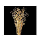 24-28'' Gold Sparkle Curly Ting Ting Branch