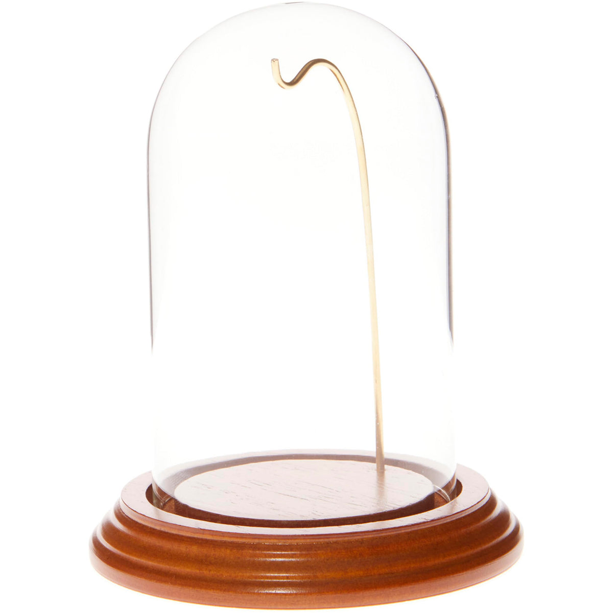 Plymor 3 x 5 Watch Glass Display Dome Cloche (Oak Veneer Base & Gold Wire)