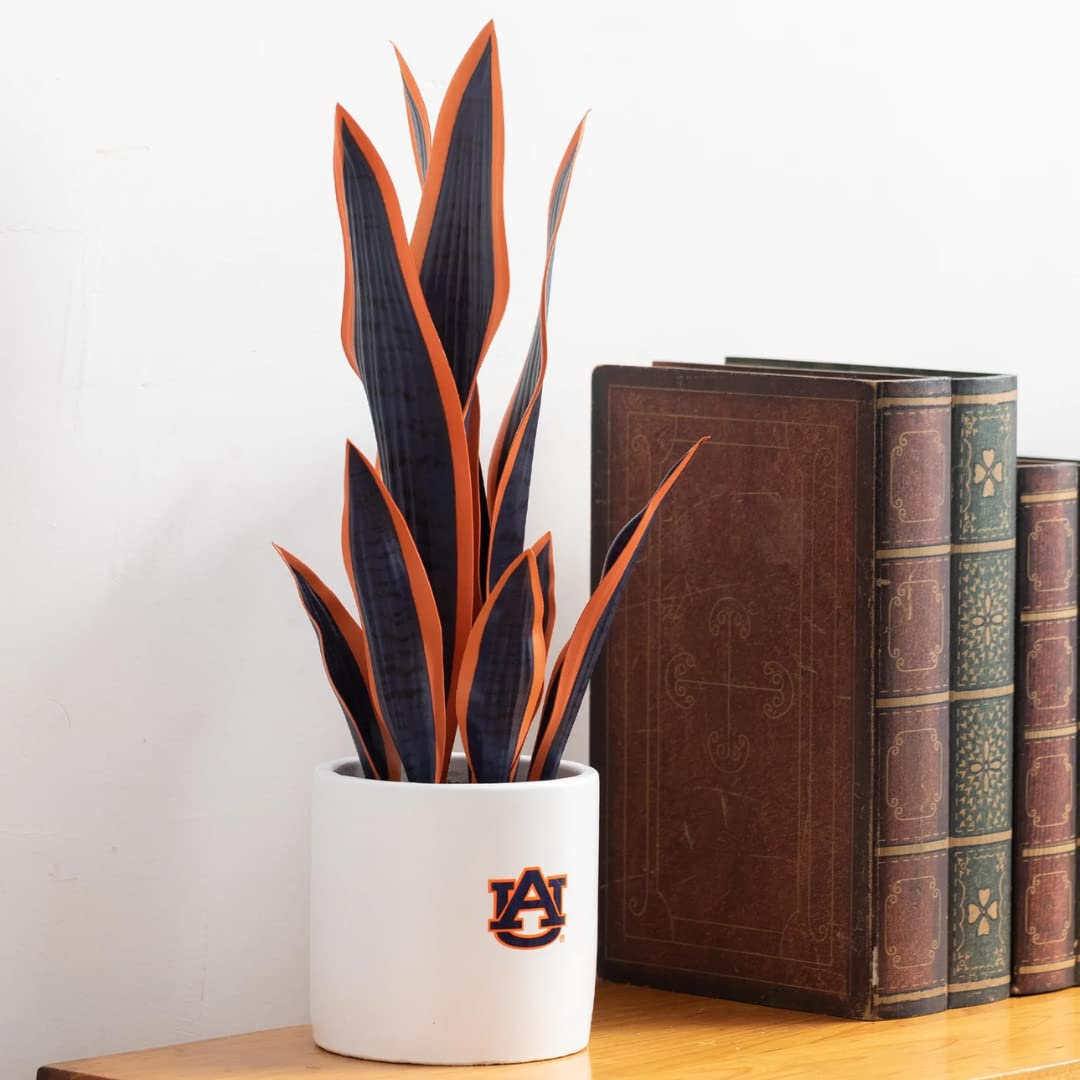 FOREVER LEAF Auburn Snake Plant, University of Auburn Faux Snake Plant, Auburn Gifts for Men, Auburn Gifts for Women, Auburn Gif