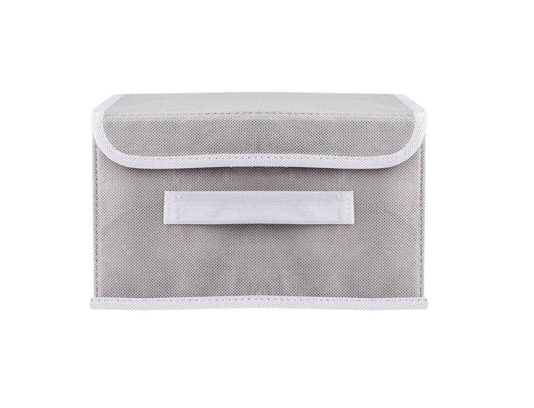 M Teaser Non Woven Multipurpose Foldable and Collapsible Storage Box Wardrobe Closet Organizer Stackable Basket/Bins with Lid Ha