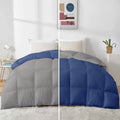 Razzai 500Gsm Microfiber Winter Quilted Comforter Single (Silver/Blue)