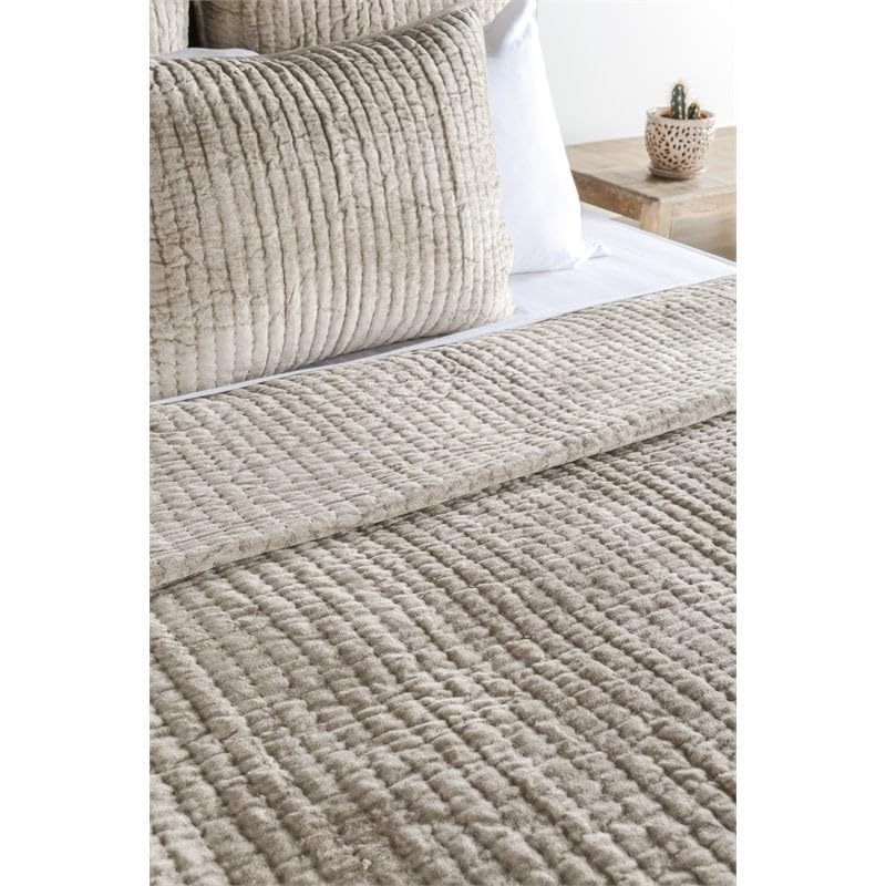 Kosas Home Dimitry 20X36 Velvet And Solid Cotton King Sham In Pebble Beige
