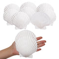 Giftvest 10PCS Sea Shells White Scallop Shells for Crafts Baking Cooking Serving Food, 4-5 inch Large Natural Seashells for DIY 