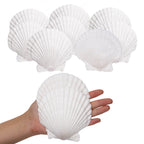 Giftvest 10PCS Sea Shells White Scallop Shells for Crafts Baking Cooking Serving Food, 4-5 inch Large Natural Seashells for DIY 